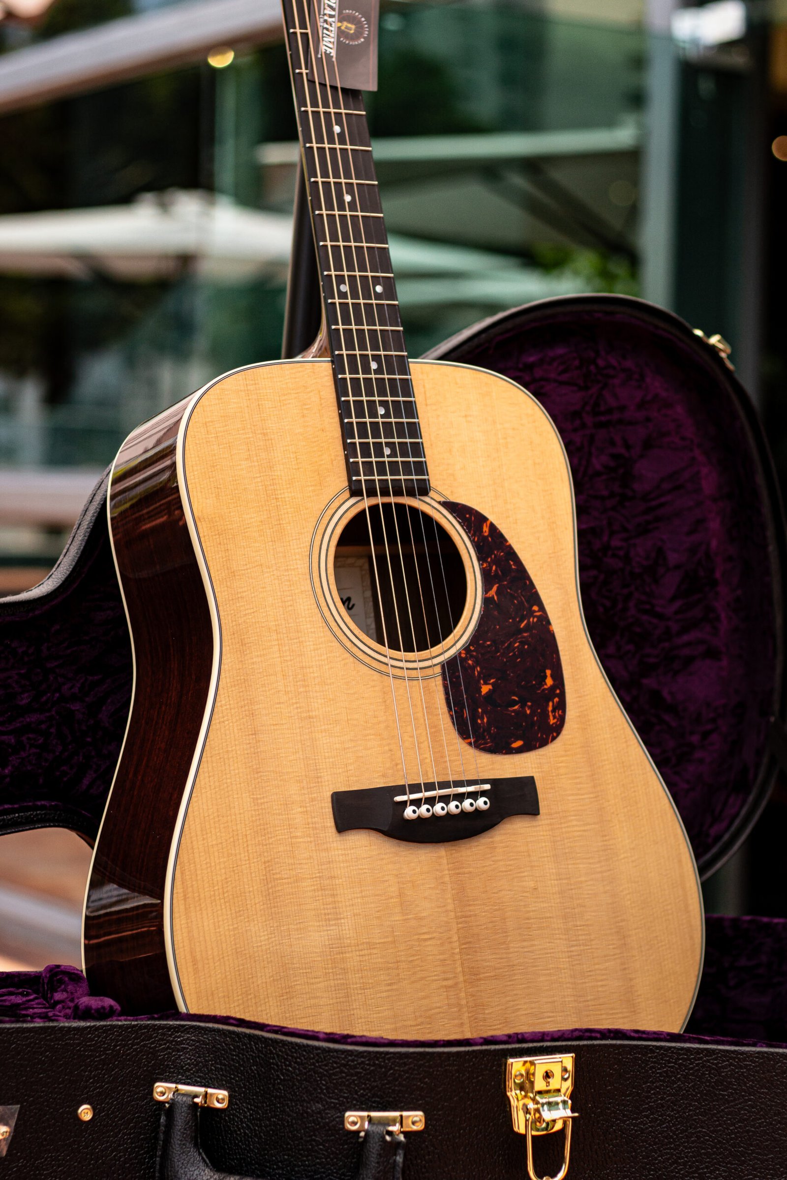 Hertom Dreadnought DLX - Imagem 2