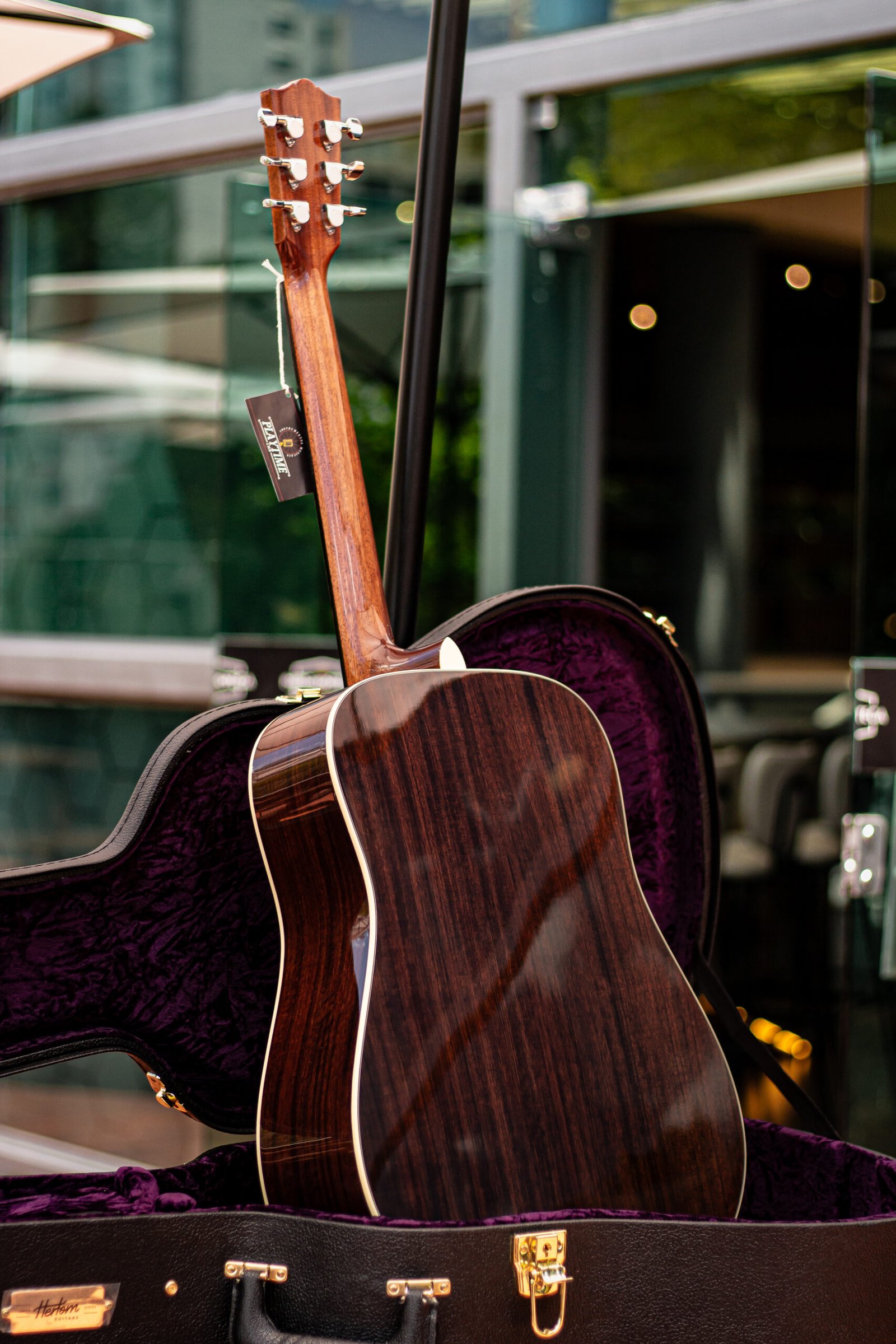 Hertom Dreadnought DLX - Imagem 3