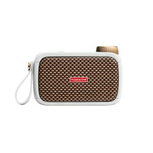 Positive Grid Spark Go 5 White