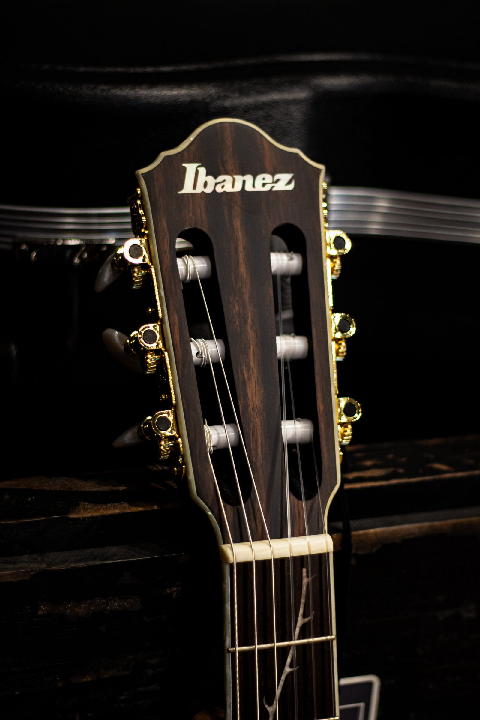 Ibanez TOD10N TKF - Tim Henson Signature - Imagem 6