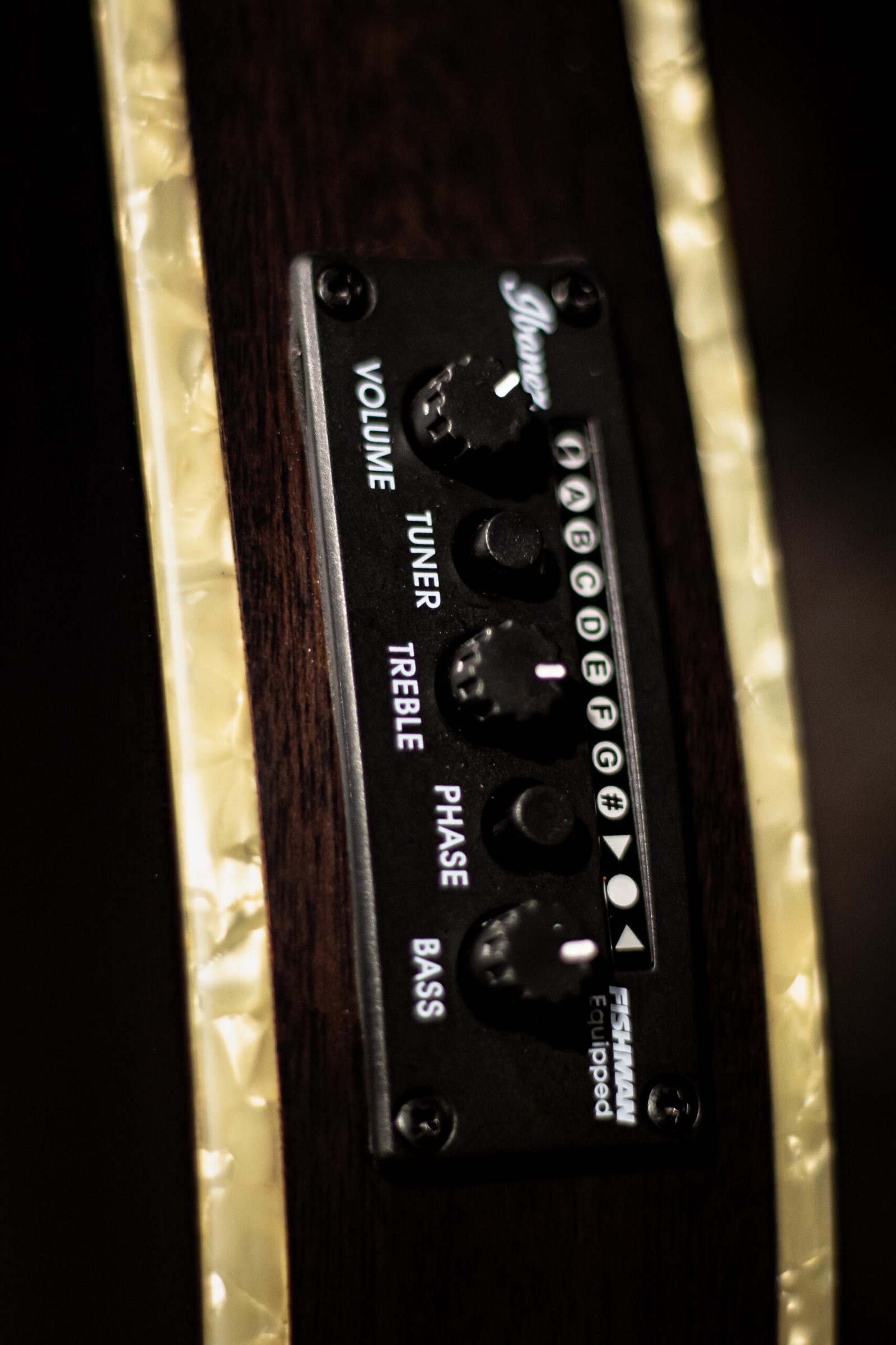 Ibanez TOD10N TKF - Tim Henson Signature - Imagem 4