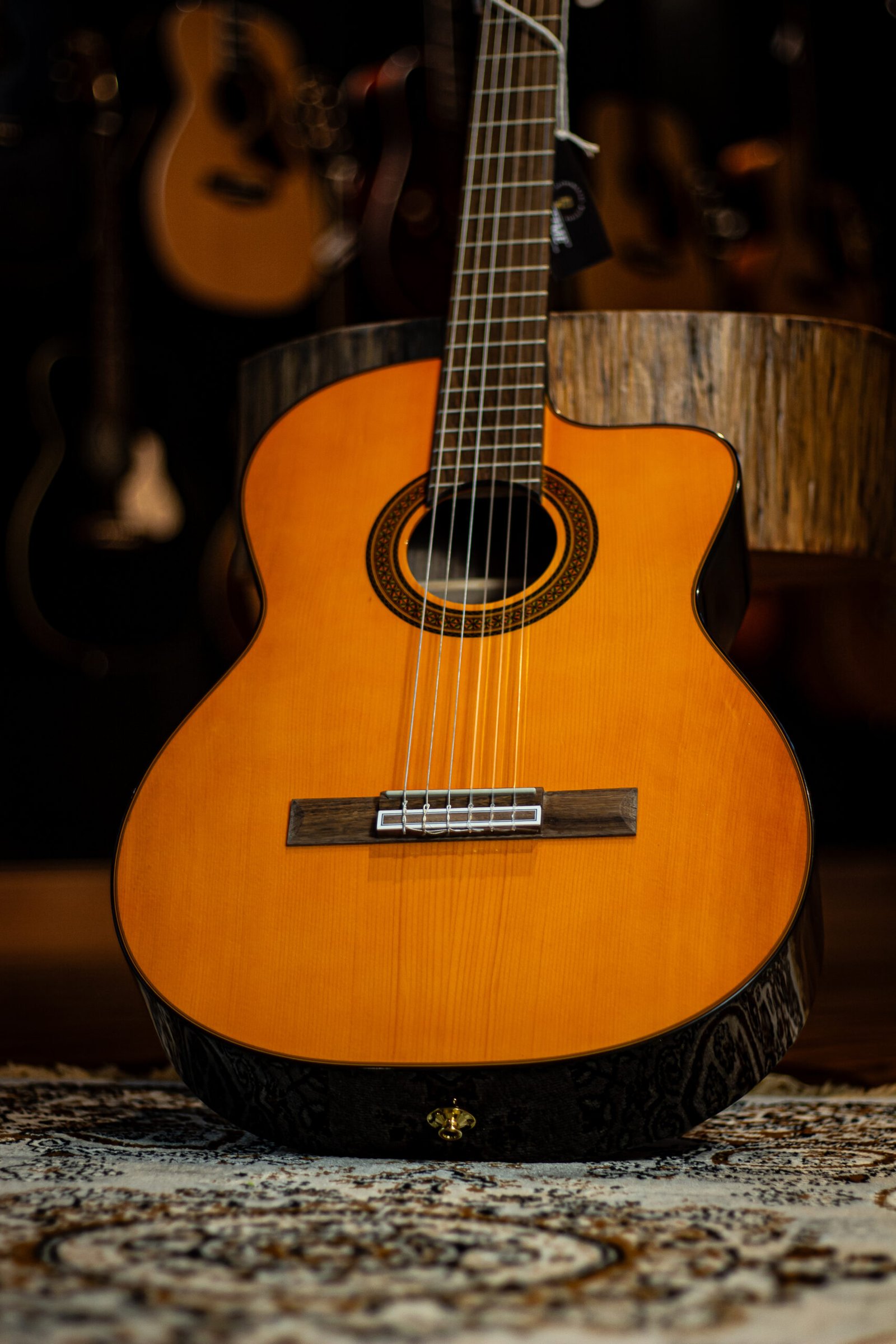 Takamine GC5CE - Imagem 2