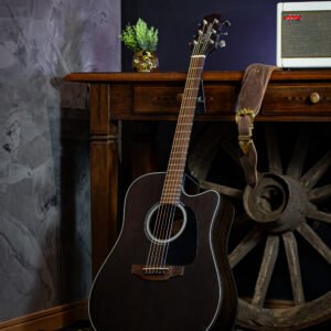 VIOLAO TAKAMINE - GD14CE TOS FOSCO & TP4T