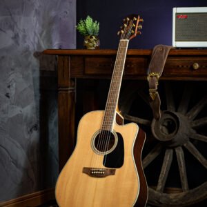 VIOLAO TAKAMINE - GD51CE NS & TP4TD FOSCO