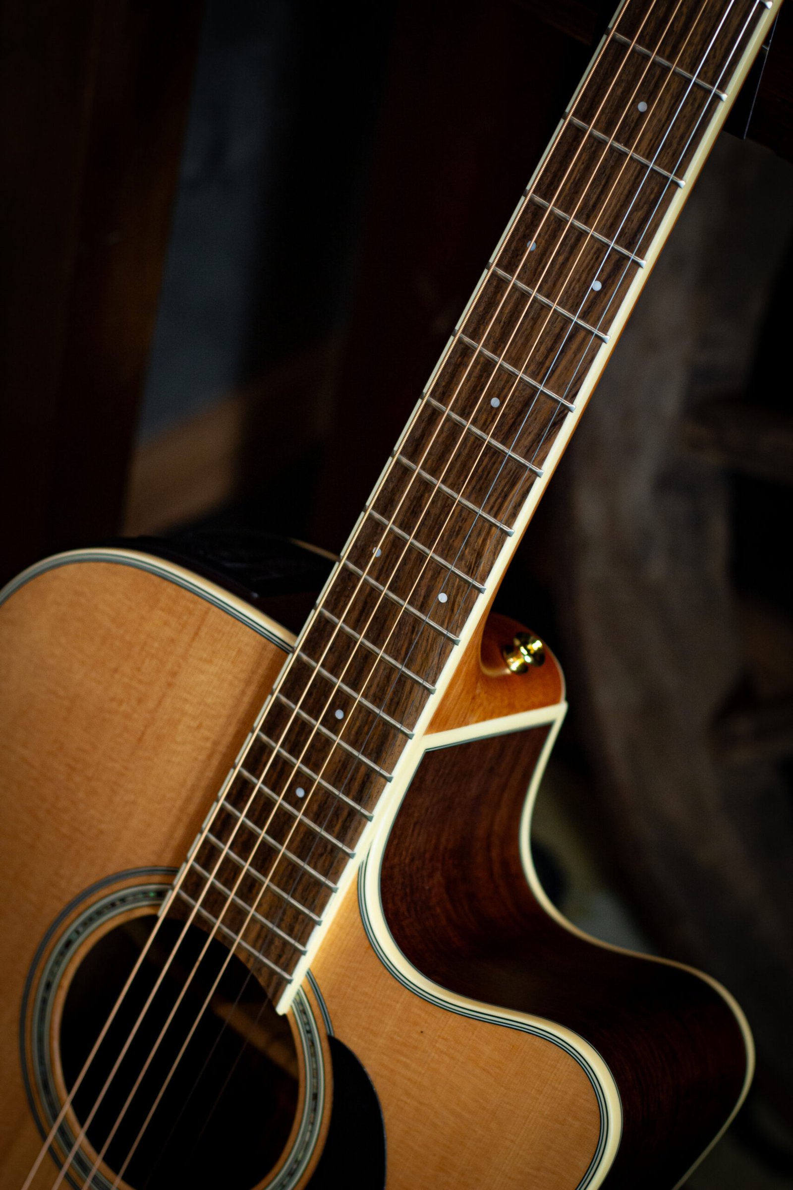 VIOLAO TAKAMINE - GD51CE NS & TP4TD FOSCO - Imagem 2