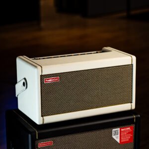 AMPLIFICADOR POSITIVE GRID - Spark 40 Pearl
