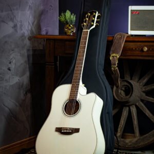 VIOLAO TAKAMINE - GD37CE PW & TP3G C/BAG