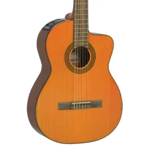 VIOLAO TAKAMINE - GC3CE N & TP4T