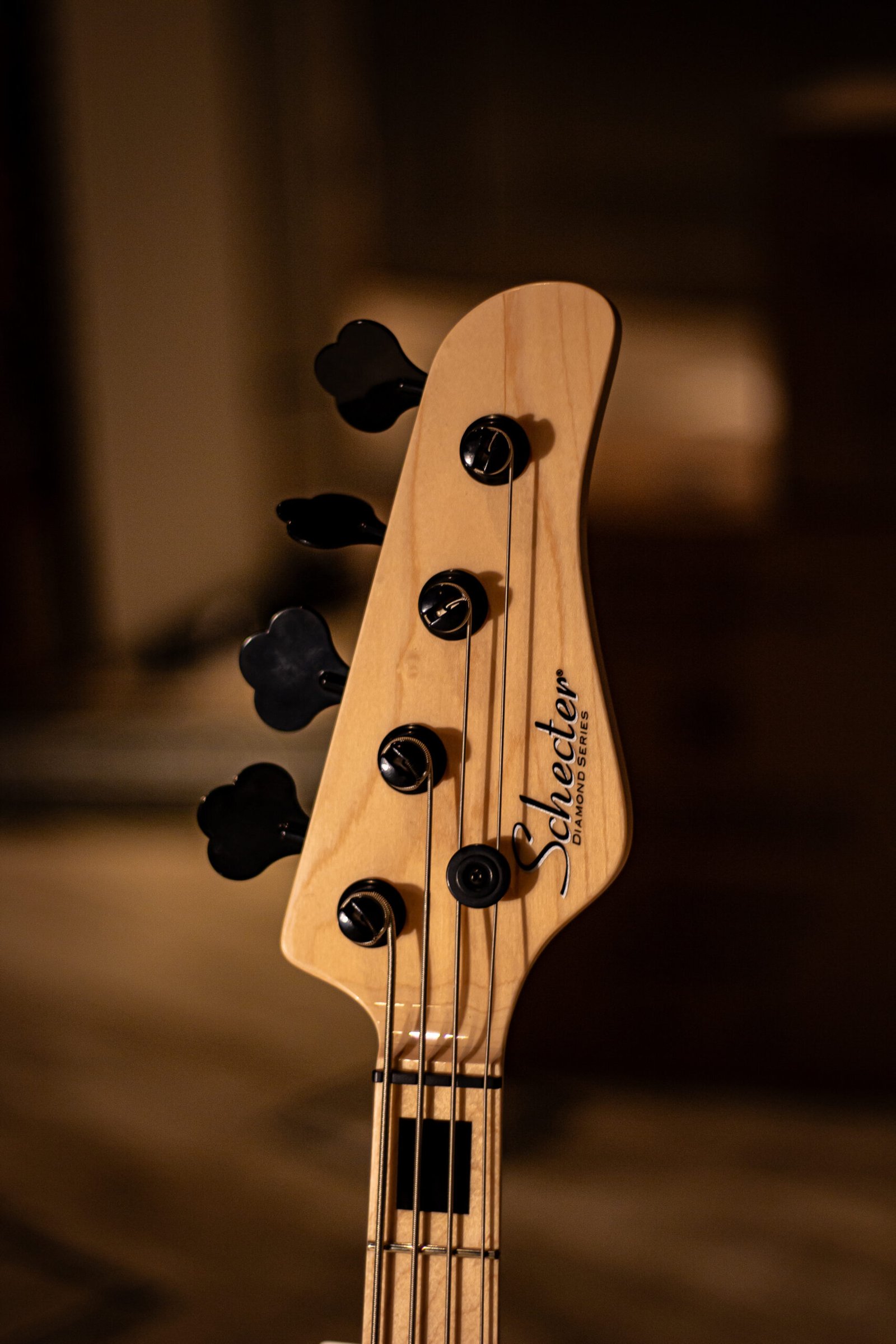 CONTRABAIXO SCHECTER - Justin Beck V ANI Gloss Natural - Imagem 4