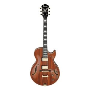 GUITARRA IBANEZ - ACU AG AG95K-NT