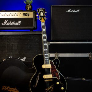 GUITARRA D'ANGELICO - Excel 59 Hollowbody