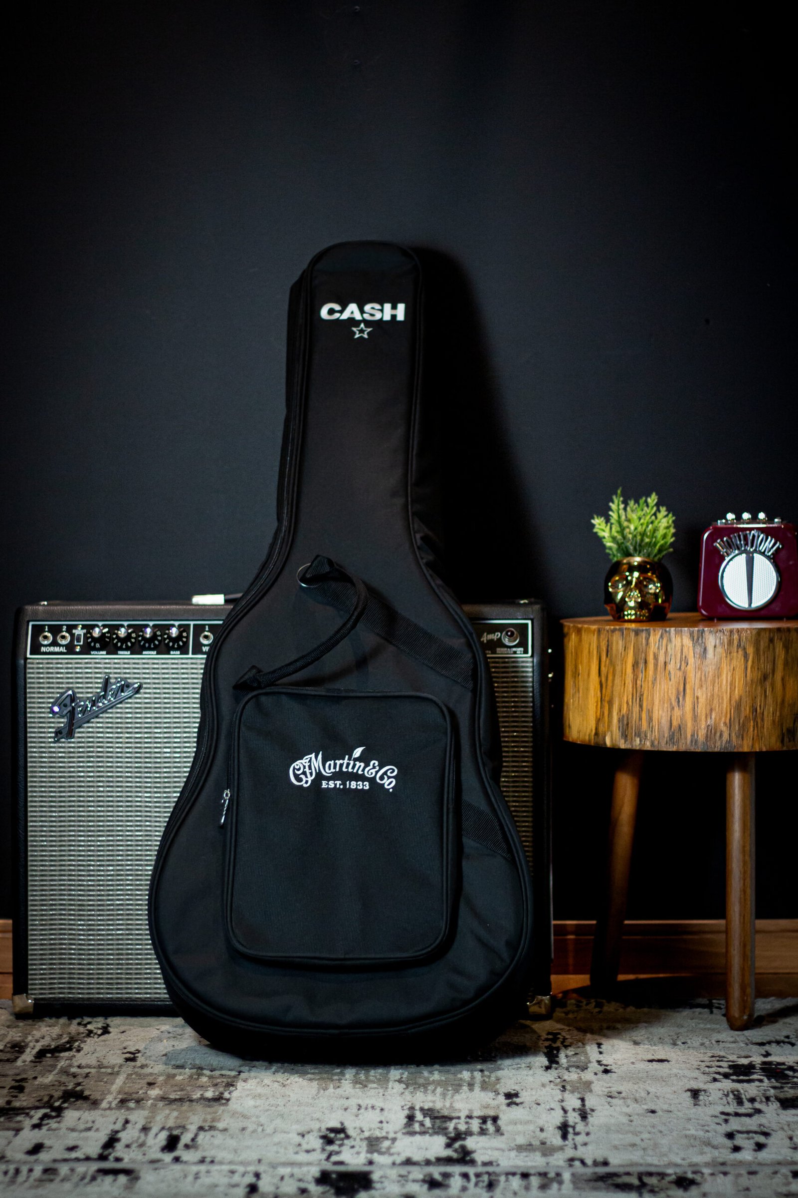 VIOLÃO MARTIN - DX-JOHHNY CASH C/CAPA - Imagem 10