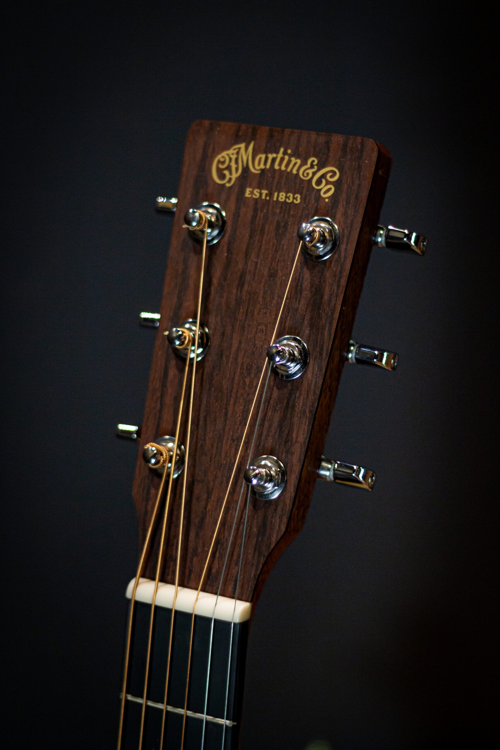 VIOLÃO MARTIN - D13E C/ SOFTCASE - Imagem 6