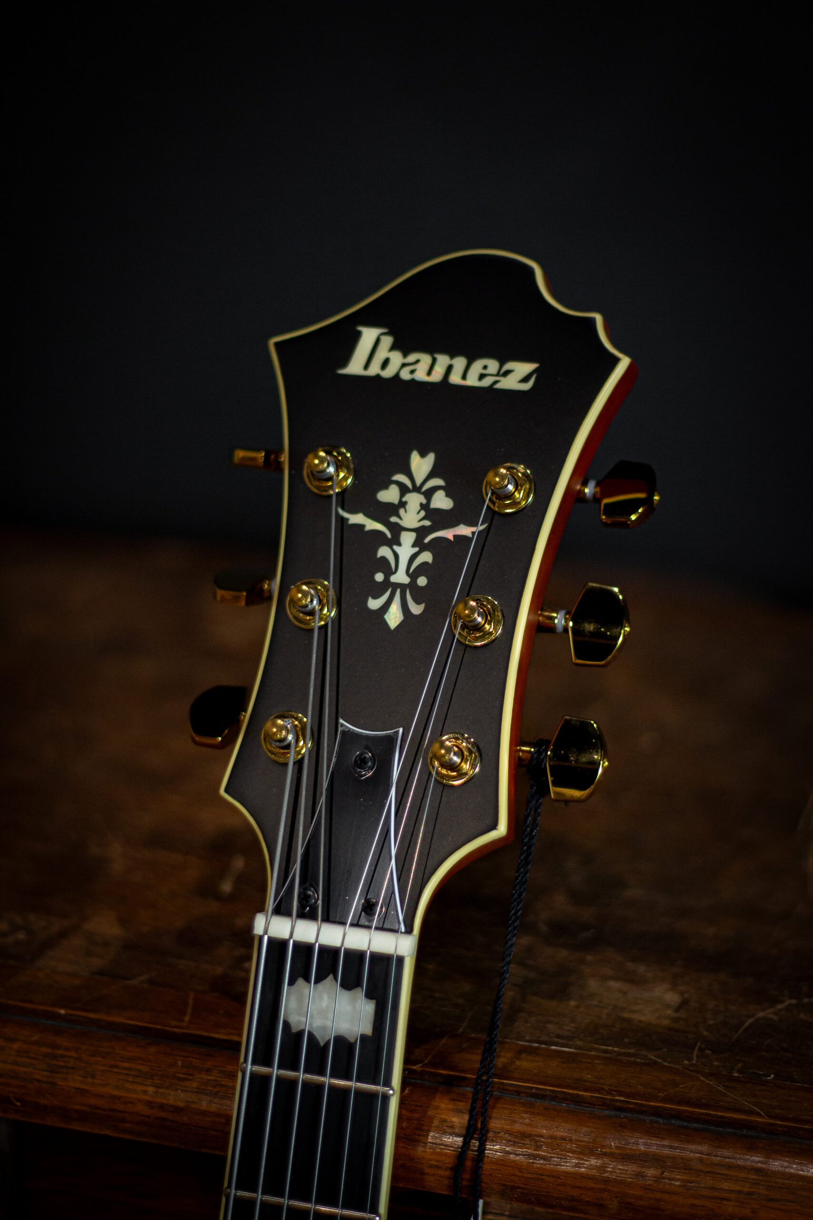 GUITARRA IBANEZ - SEMI METHENY PM3C-NAL - Imagem 6