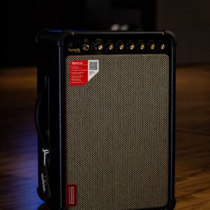 AMPLIFICADOR POSITIVE GRID - SPARK LIVE BLUETOOTH BLK