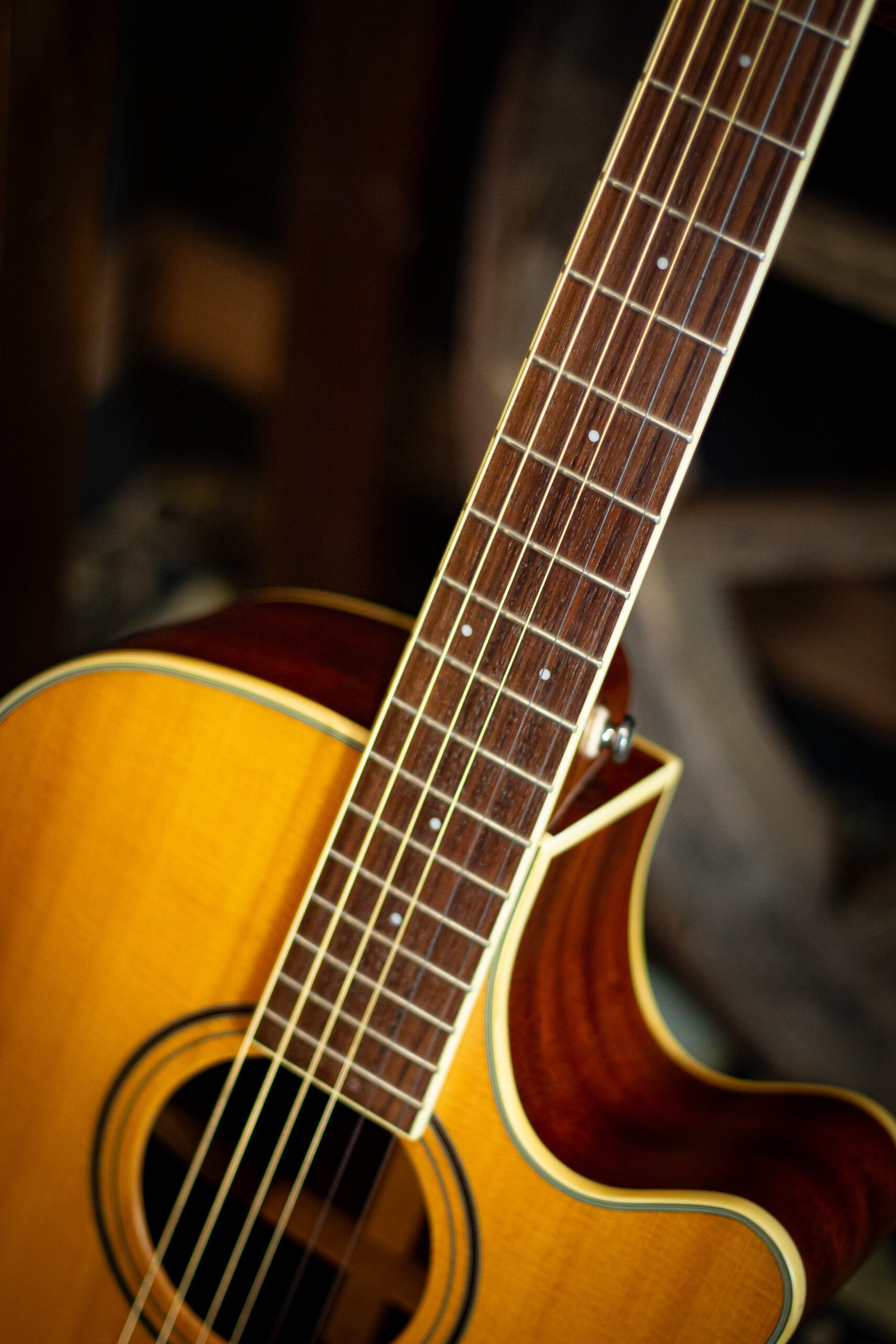 VIOLAO PARKWOOD - ALL SOLID - PARKWOOD PW370 - OUTLET - Imagem 4