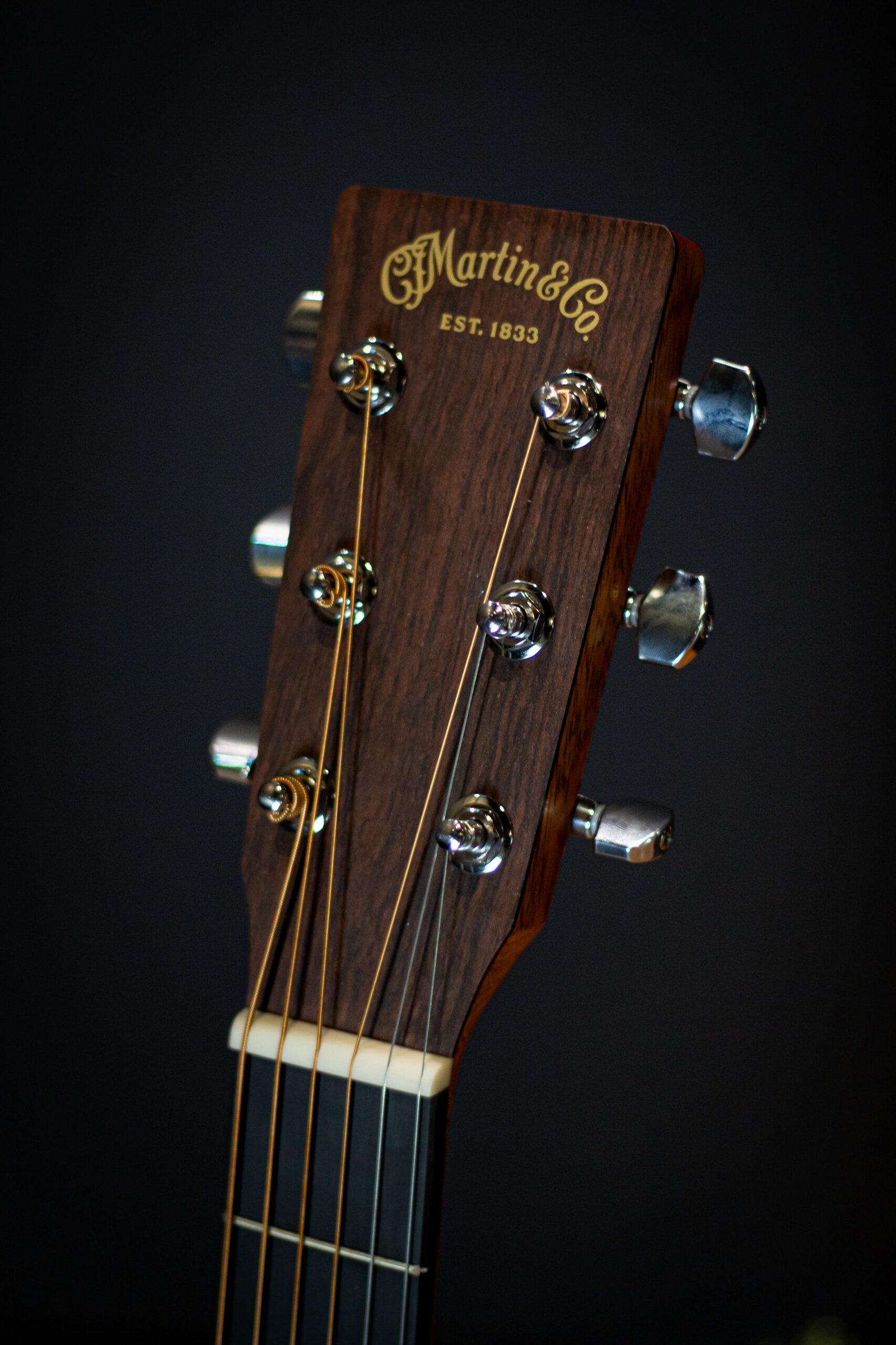 VIOLÃO MARTIN - D-10E-02 SITKA C/BAG - Imagem 5