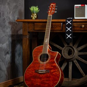 VIOLAO IBANEZ - EW20 - OUTLET