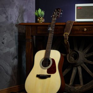 VIOLAO TAKAMINE - GD10 NS ACUSTICO
