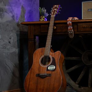 VIOLAO IBANEZ - AW54CE-OPN