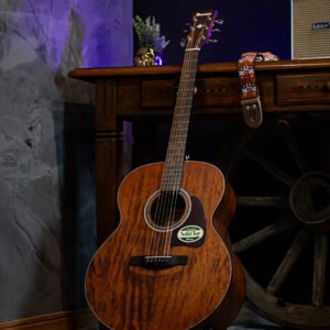 VIOLAO IBANEZ - AJ54E