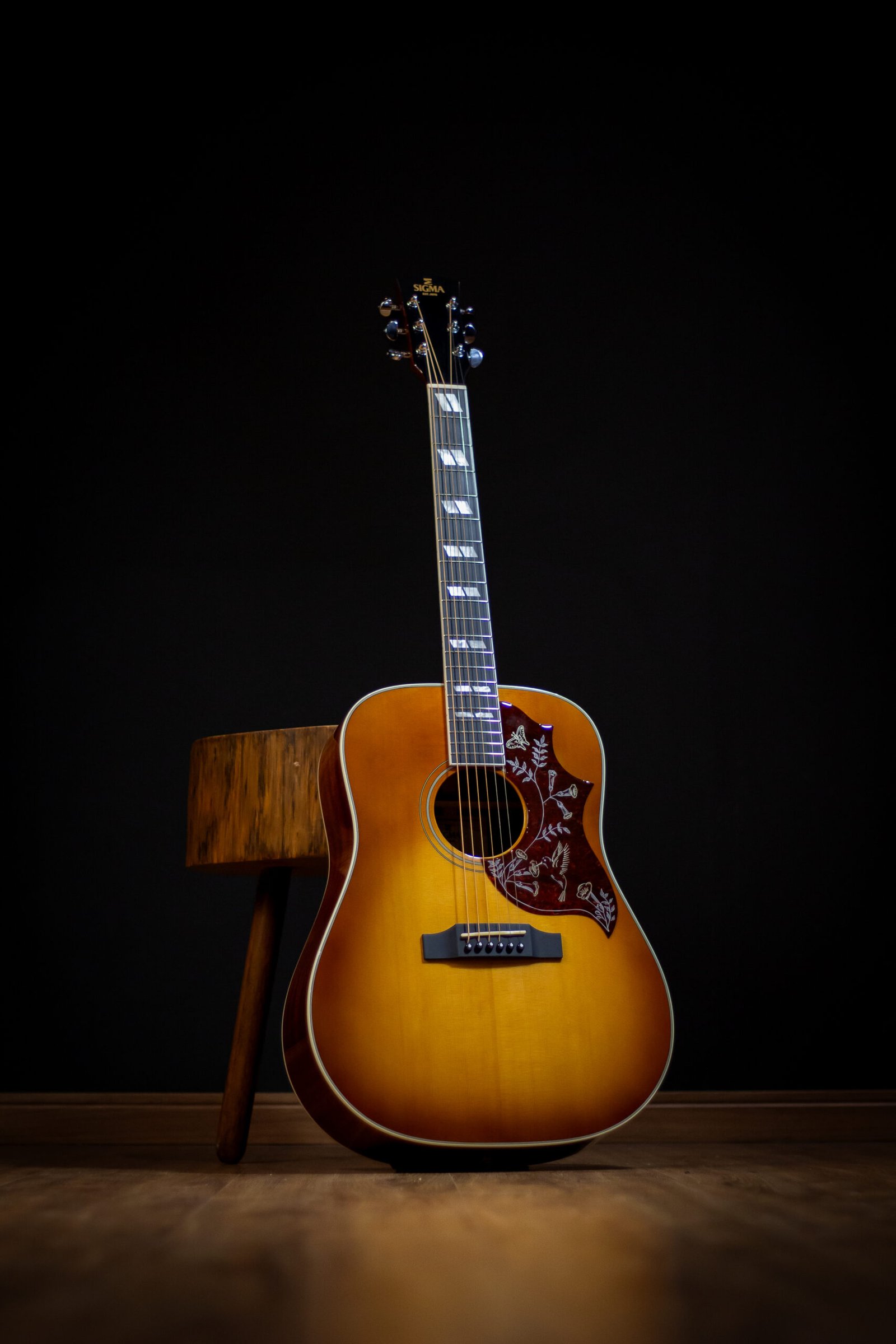 VIOLÃO MARTIN - DM-SG5 C/ CAPA