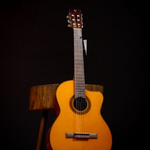 VIOLAO TAKAMINE - GC1CE N & TP-4T