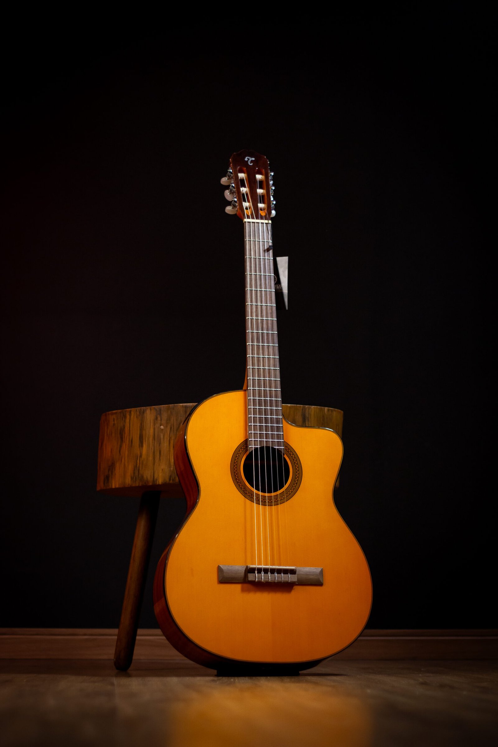 VIOLAO TAKAMINE - GC1CE N & TP-4T - Imagem 2