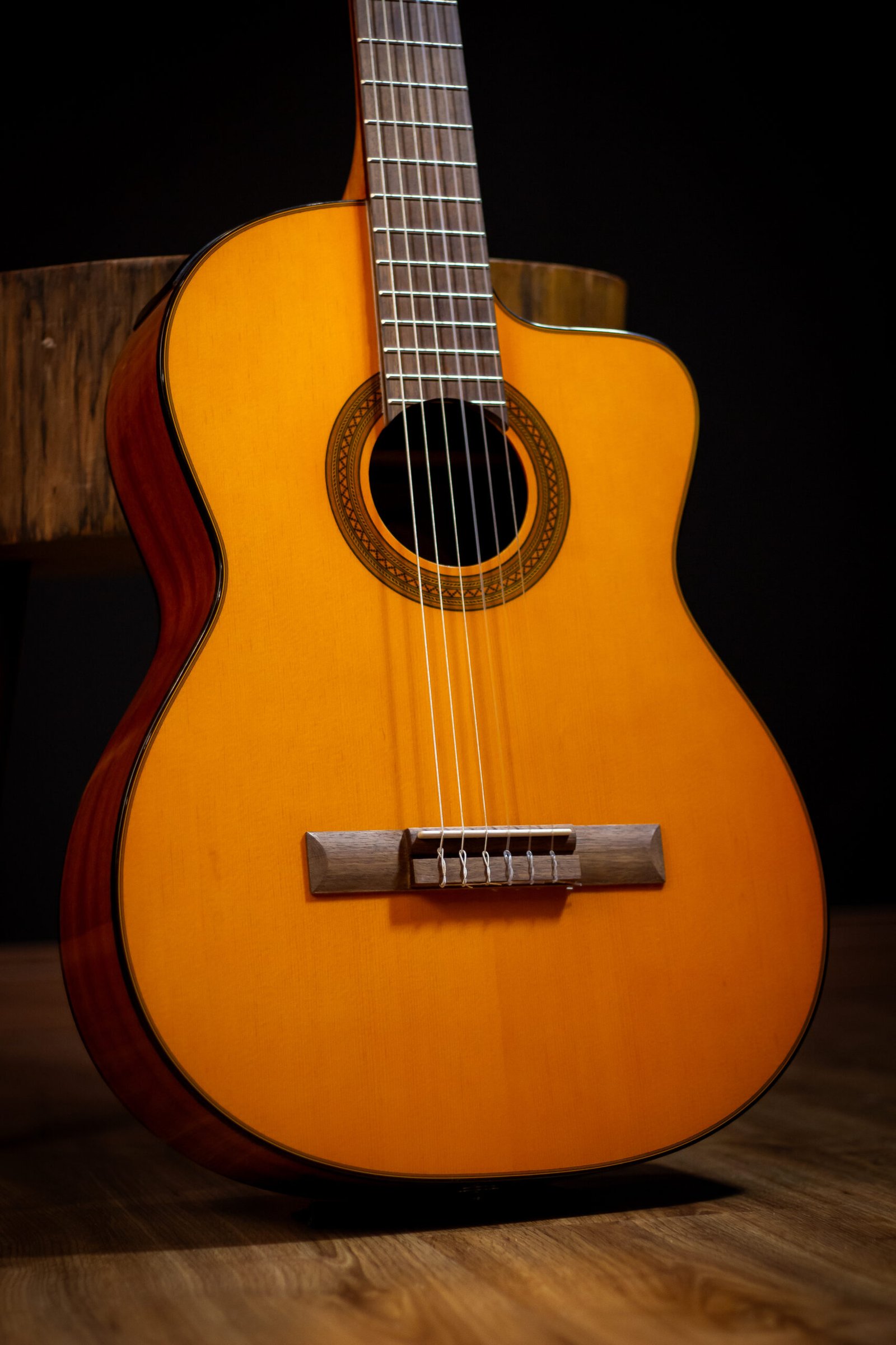 VIOLAO TAKAMINE - GC1CE N & TP-4T - Imagem 3