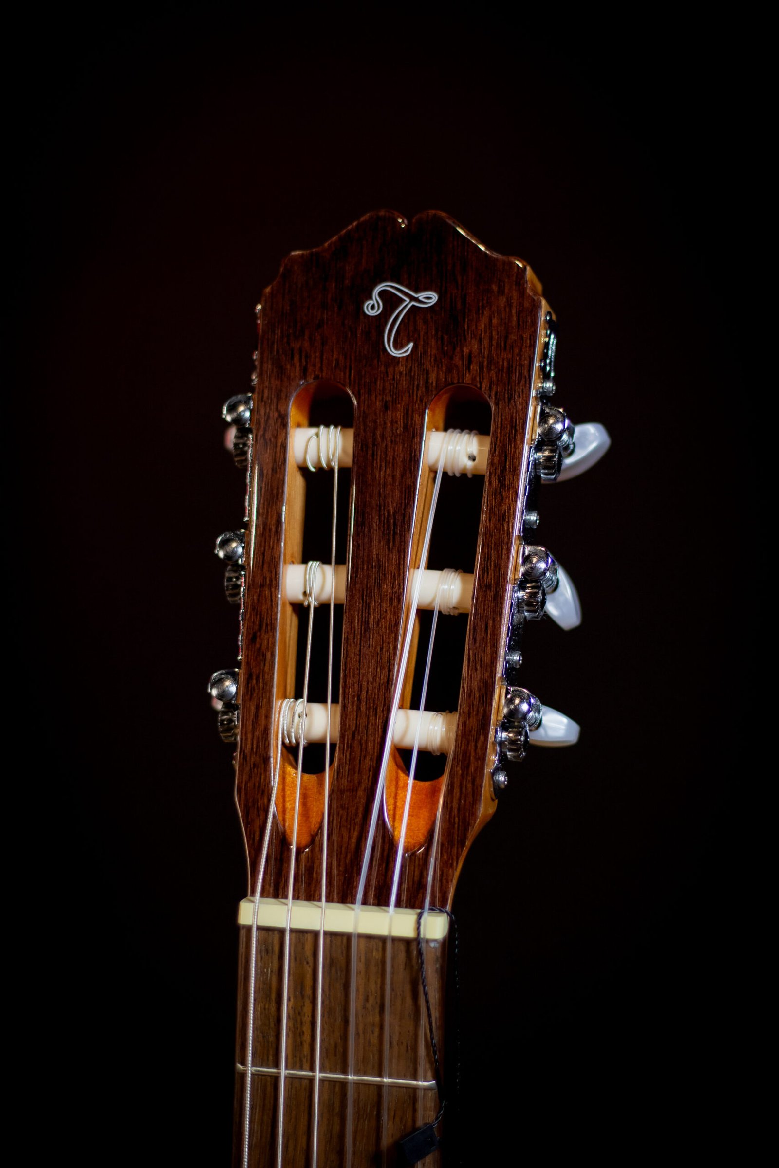 VIOLAO TAKAMINE - GC1CE N & TP-4T - Imagem 5