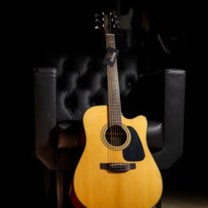 VIOLAO TAKAMINE - GD30CE N & TP4TD
