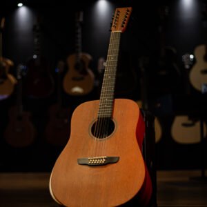VIOLAO ROZINI - RX440 12C CUSTOM