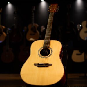 VIOLAO ROZINI - RX320 CANHOTO