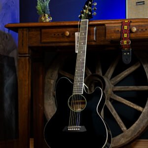 VIOLAO IBANEZ - TCY10E-BK