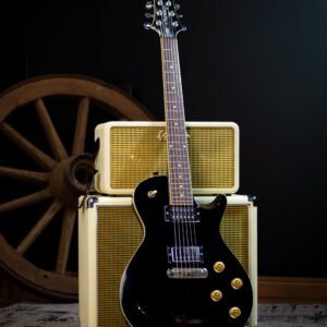 GUITARRA PRS - SE CUSTOM KOREA MARK TREMONTI