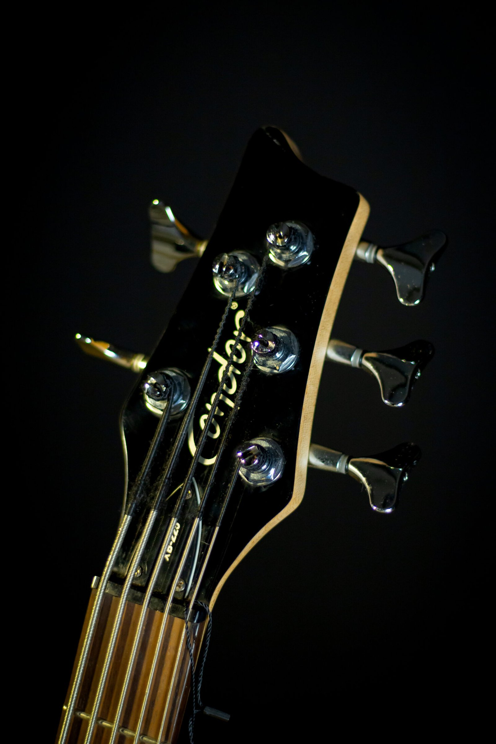 CONTRABAIXO CONDOR - XB225 BK - Imagem 7