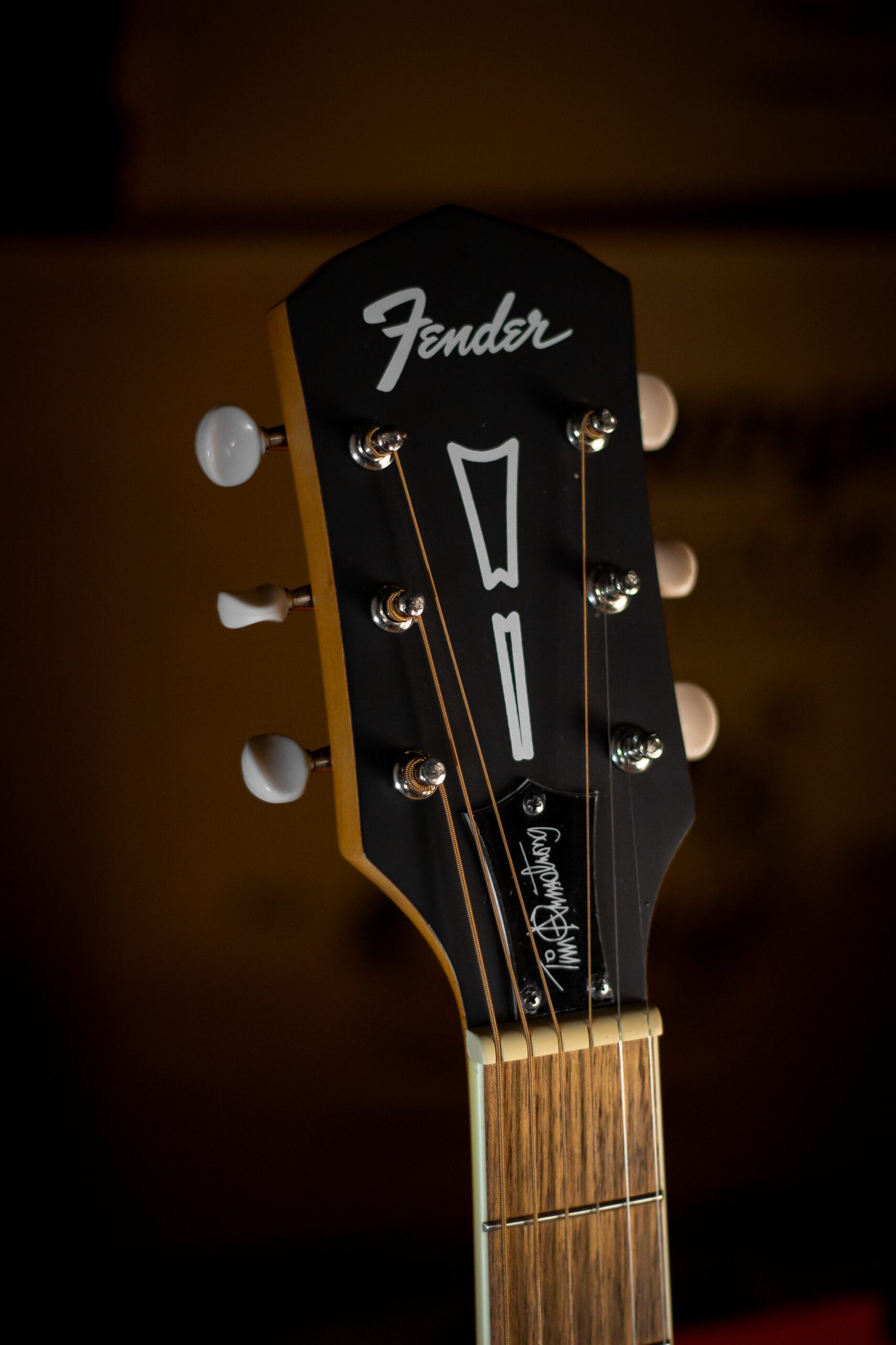 VIOLAO FENDER - HELLCAT TIM ARMSTRONG SIGNATURE - OUTLET - Imagem 4