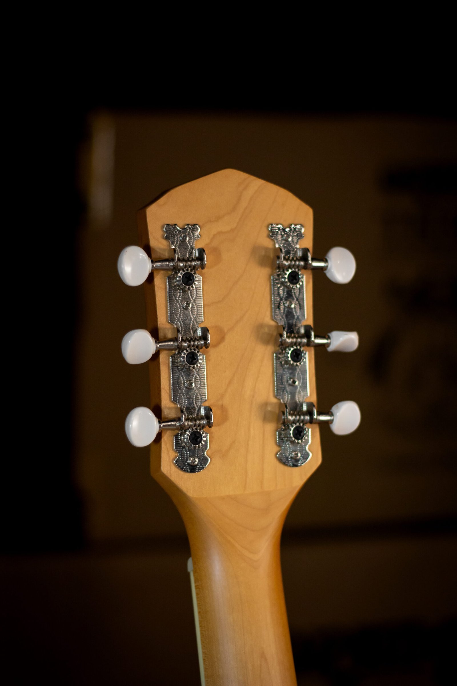 VIOLAO FENDER - HELLCAT TIM ARMSTRONG SIGNATURE - OUTLET - Imagem 5