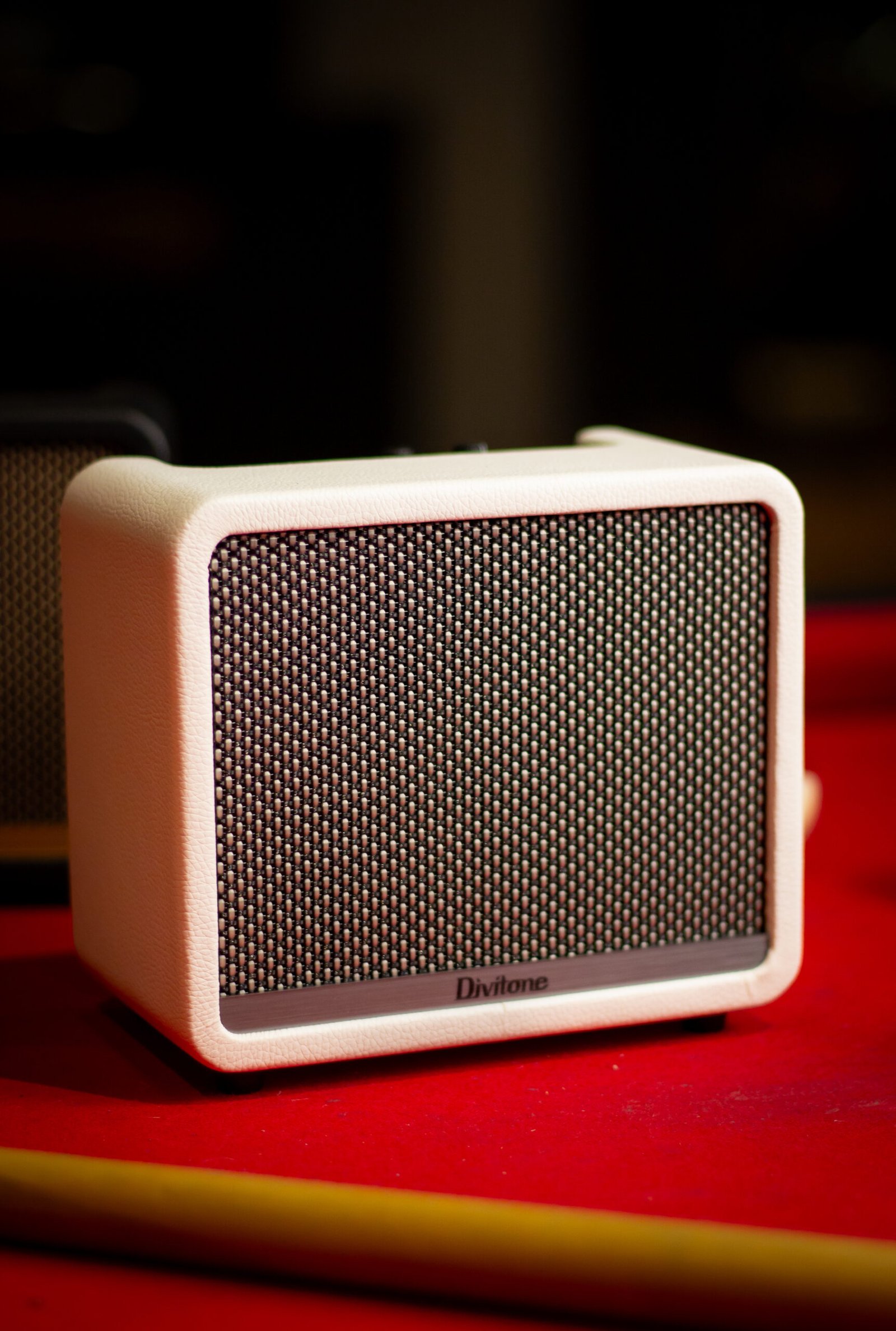 AMPLIFICADOR DIVITONE - DAM10-WH - Imagem 2