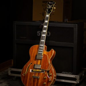 GUITARRA IBANEZ - ACU AG AG95K-NT