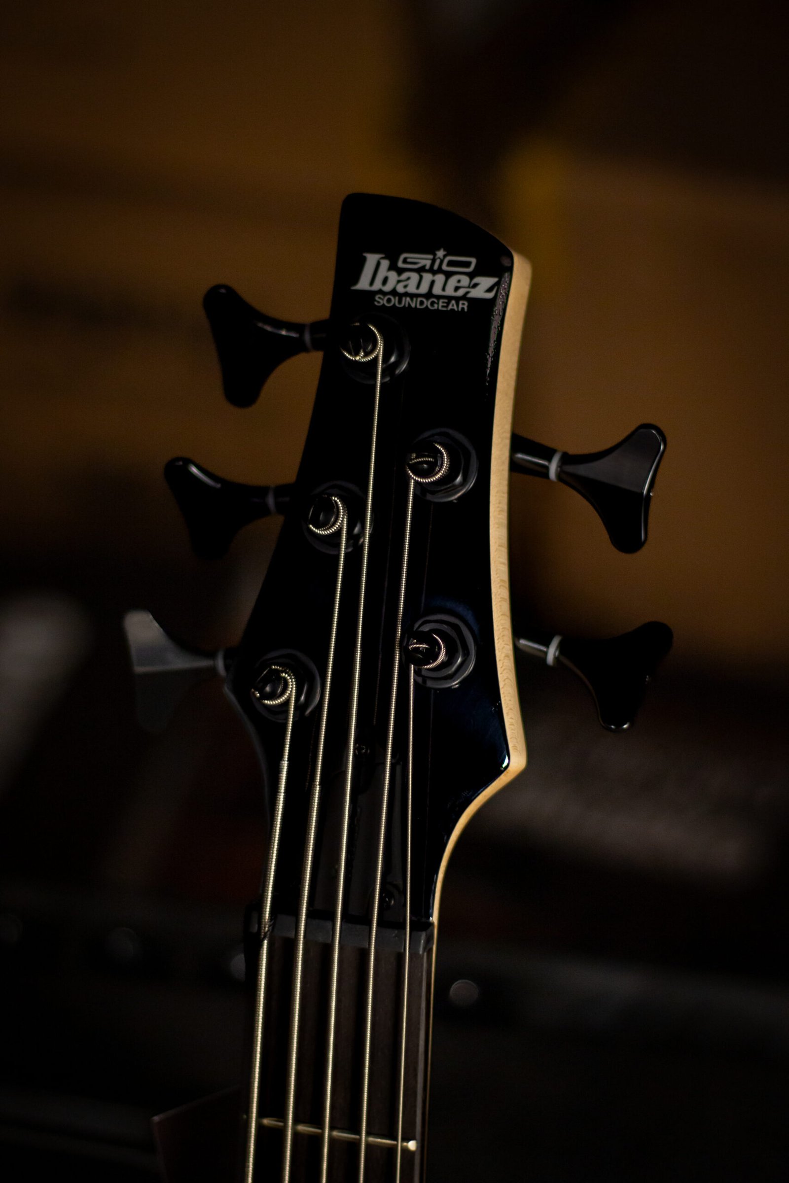 BAIXO IBANEZ - 5 CORDAS SR GSR205SM-NGT - Imagem 5