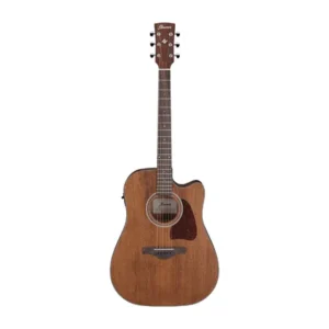 VIOLAO IBANEZ - ACO AW AW54CE-OPN
