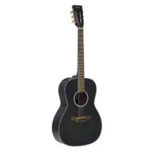 VIOLAO TAKAMINE - GY14E TOS & TP4T