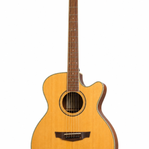 VIOLAO PARKWOOD - ALL SOLID - PARKWOOD PW370 - OUTLET
