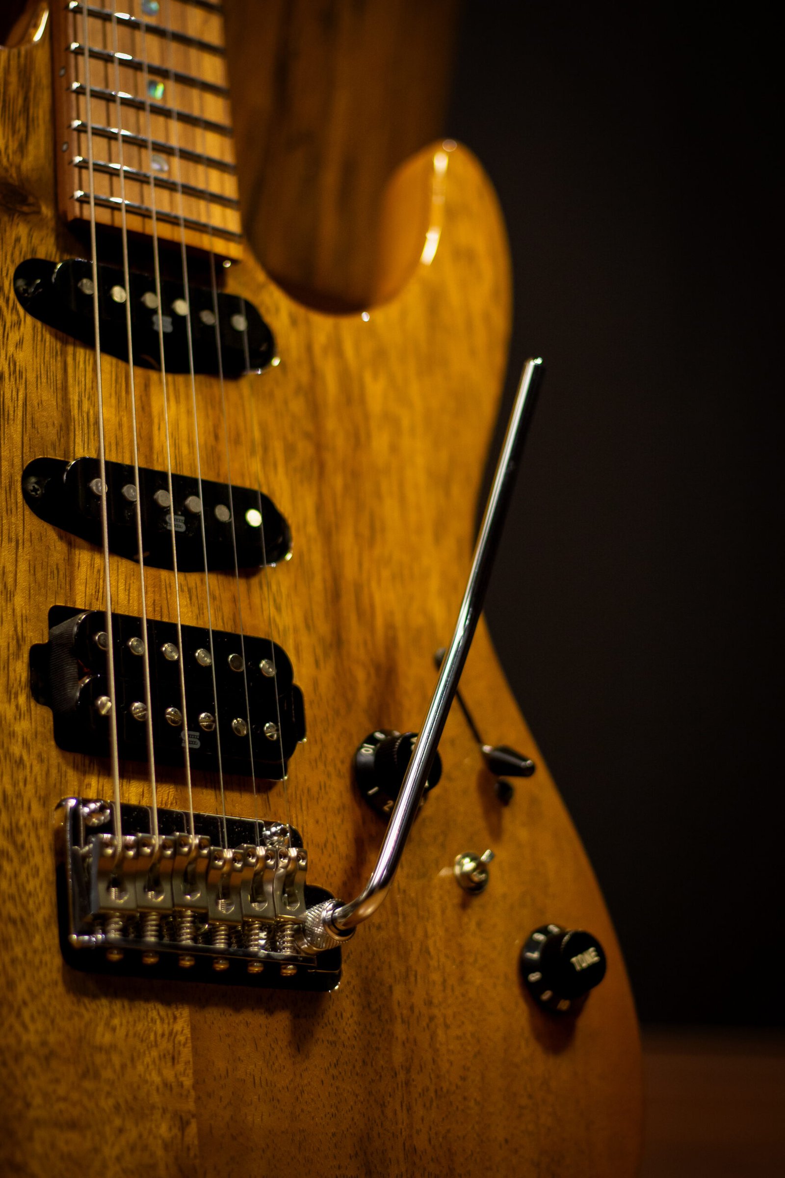 GUITARRA IBANEZ PRESTIGE - TQM1 (Tom Quayle Signature) - Imagem 3