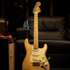GUITARRA FENDER - Highway One Stratocaster USA