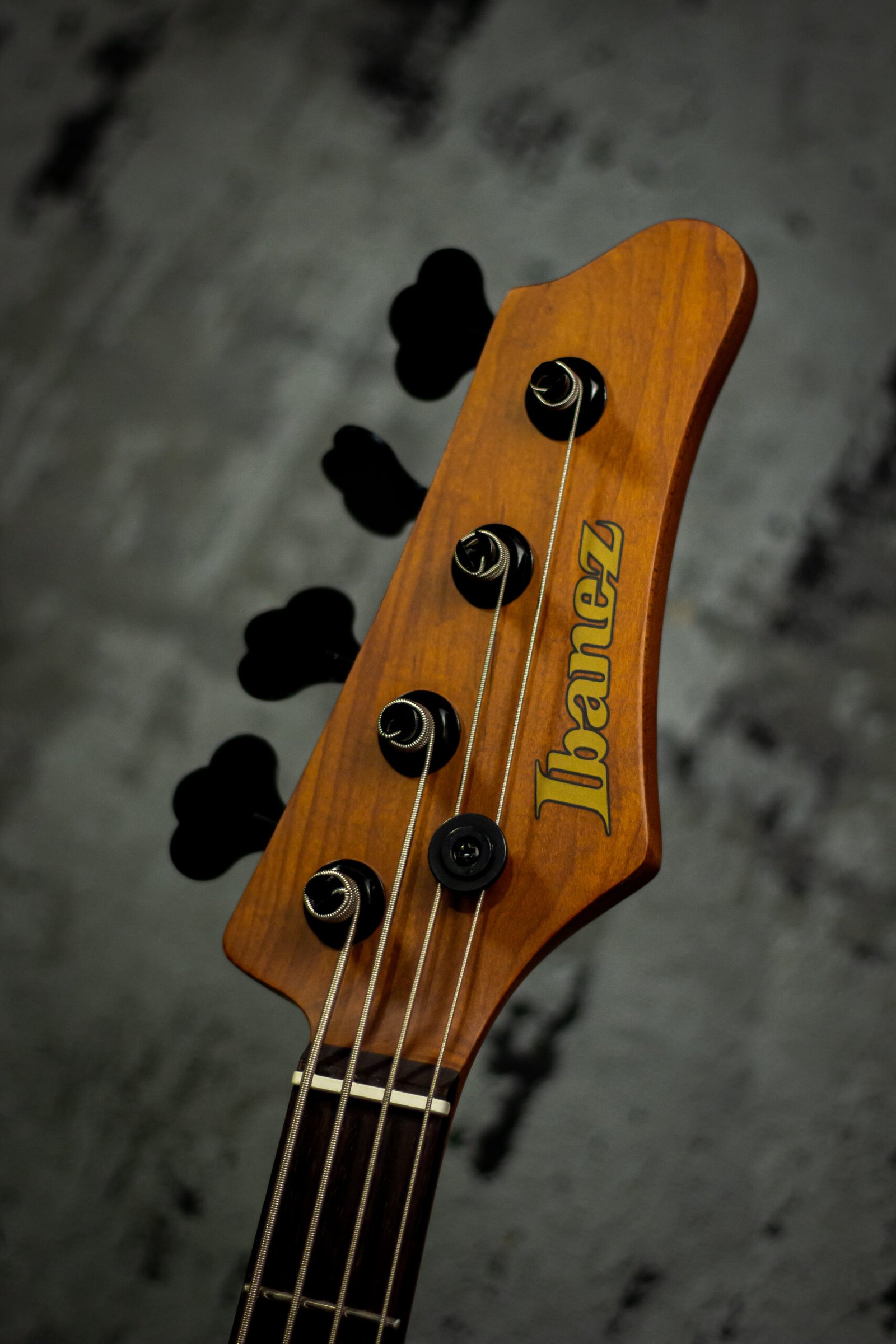 CONTRABAIXO IBANEZ - MDM1600-NML - Imagem 6