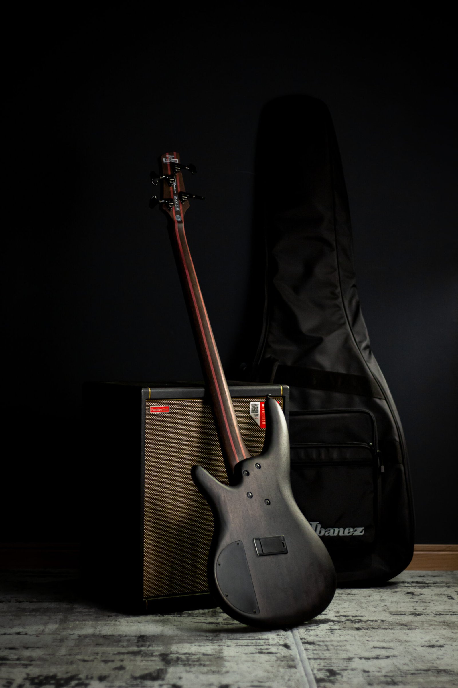 CONTRABAIXO IBANEZ - SR1320SB-IVF - Imagem 7